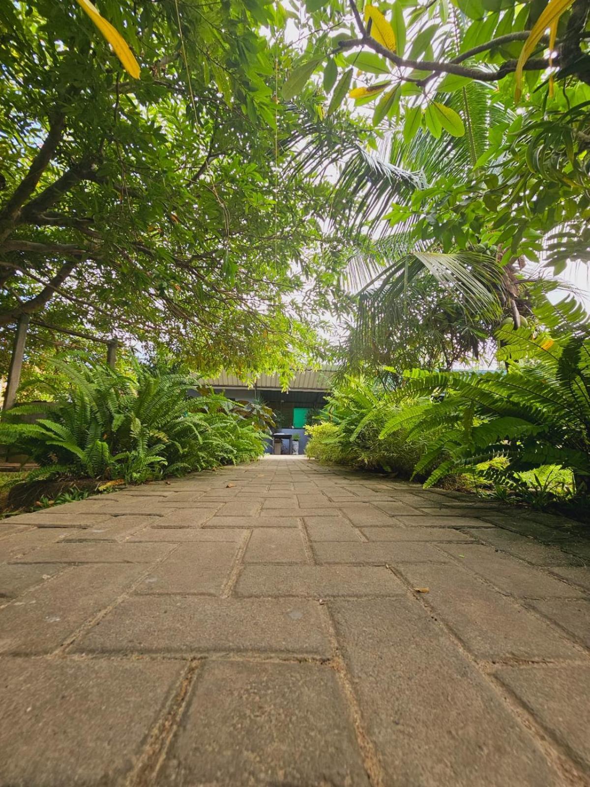 Bed and Breakfast Optimum Residencies Negombo Exteriér fotografie